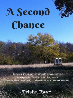 cover image of A Second Chance
